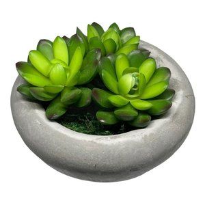 Artificial Succulent In Planter Pot